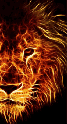 Lion Courage GIF