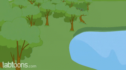 Water Cycle Nature GIF - Water Cycle Nature Surface - Discover & Share GIFs
