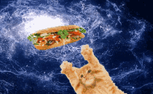 Bahn Mi Space Cat GIF