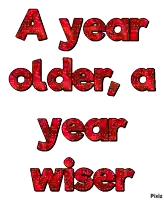 a year older , a year wiser written in red letters