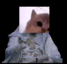 a pixelated image of a cat with a skeleton behind it