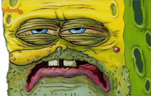 spongebob sick sponge sick thing ugly face sponge face