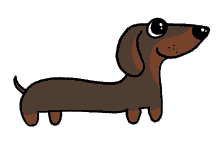 pup dachshund