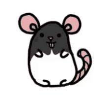 rat mouse nbrchristy