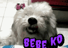 Bebe Ko GIF - Bebe Ko GIFs