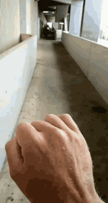 GIF