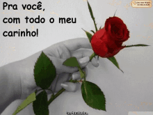 Flowers For You Roses GIF