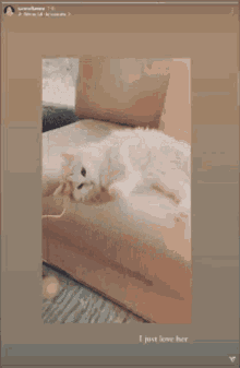 Carmella Pixel GIF - Carmella Pixel White Cat GIFs