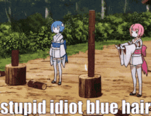 Stupid Idiot GIF - Stupid Idiot Blue Hair GIFs