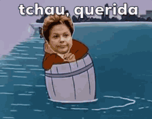 Tchau, Querida, Lula, Dilma, Eleições, Pt Não GIF