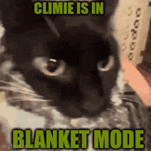 a black cat with the words climie is in blanket mode