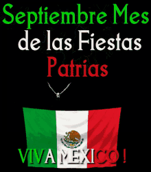 Viva Mexico Fiestas Patraias GIF