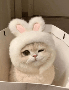 a cat wearing a white hat with bunny ears on it