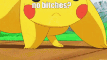 Pikachu Nobitches GIF - Pikachu Nobitches No GIFs
