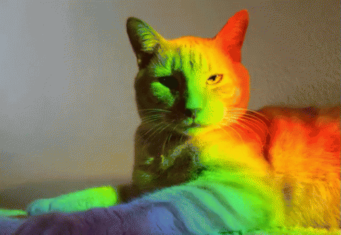rainbow-unimpressed.gif