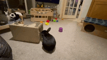 two rabbits are playing with toys in a living room with a cardboard bus in the background