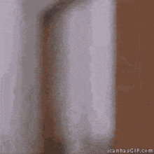a blurry picture of a person behind a door with icanhasgif.com written on the bottom right