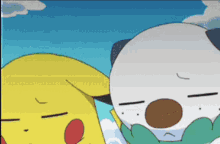 Pikachu Oshawott GIF - Pikachu Oshawott Cilan Pokémon GIFs