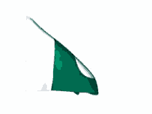 Pakistan Flag GIF - Pakistan GIFs
