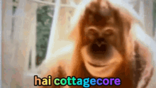 Maffew Cottagecore GIF - Maffew Cottagecore GIFs