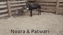 Noora Patwari GIF - Noora Patwari Love GIFs