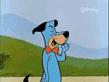 huckleberry hound lol omg laughing funny