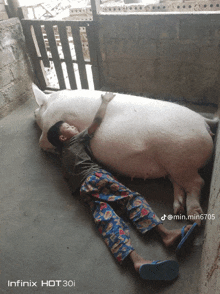 a boy laying on the ground next to a pig with a infinix hot 30i written on the bottom right