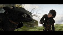 toothless and hiccup from how to train your dragon looking at each other