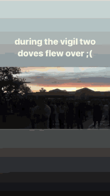 During The Vigil Two Doves GIF