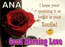 Good Morning My Love Ana GIF - Good Morning My Love Ana Red Rose GIFs