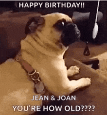 a pug dog is sitting on a couch and looking at the camera with the words `` happy birthday ! ''