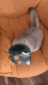 Cat Kitty GIF - Cat Kitty Hat GIFs