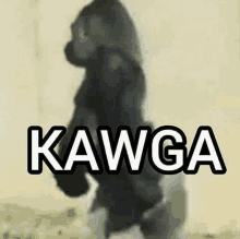 Kawga GIF - Kawga GIFs