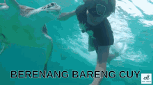 Bareng Cuyy GIF - Penyu Turtle Berenang GIFs