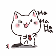 hahaha happy cat mixflavor coko