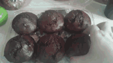 Double Chocolate Muffin Muffins GIF - Double Chocolate Muffin Muffins Chocolate Muffin GIFs