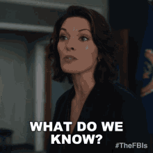 What Do We Know Isobel Castille GIF - What Do We Know Isobel Castille Fbi GIFs
