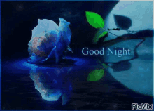 Blue Rose Good Night GIF - Blue Rose Good Night Sweet Dreams GIFs