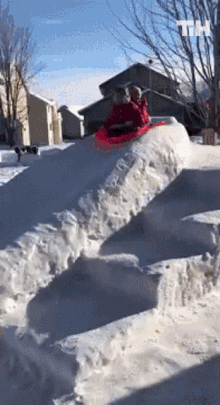 Sledding This Is Happening GIF - Sledding This Is Happening Sleigh GIFs