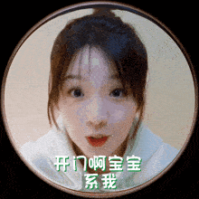 a picture of a woman with chinese writing around her face