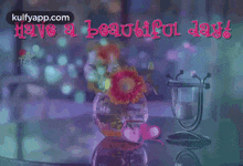 Have A Beautiful Day.Gif GIF - Have A Beautiful Day Wishes Nice Day GIFs