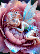 a fairy is sleeping on a pink flower petal