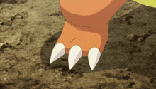 a bbc logo can be seen on the bottom of a foot