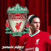 Liverpool Nunez GIF - Liverpool Nunez GIFs