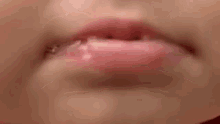Blowing Raspberries Horse Lips GIF - Blowing Raspberries Horse Lips Lip Trills GIFs