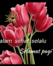 a bunch of pink flowers with the words alam sehat selalu selamat pagi written on it