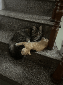 three cats laying on top of each other on a set of granite stairs