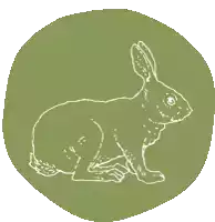 a drawing of a rabbit in a green circle