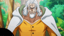 One Piece Silvers Rayleigh GIF - One Piece Silvers Rayleigh Rayleigh GIFs