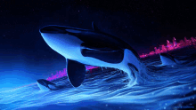 Orca GIF - Orca GIFs